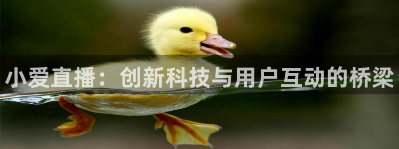 玩球直播app：小爱直播：创新科技与用户互动的桥梁