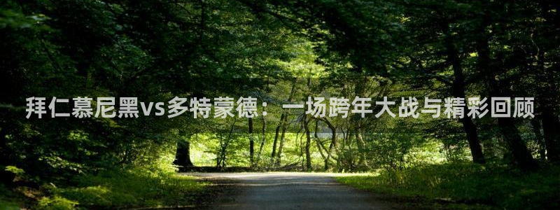 宝宝玩球视频：拜仁慕尼黑vs多特蒙德：一场跨年大战与精彩回顾