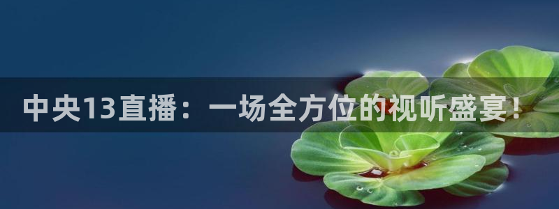 玩球球视频：中央13直播：一场全方位的视听盛宴！